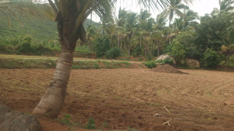  Agricultural Land 1 Acre for Sale in Palakkodu, Dharmapuri