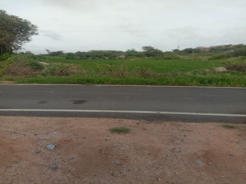  Agricultural Land 2 Acre for Sale in Berigai, Krishnagiri