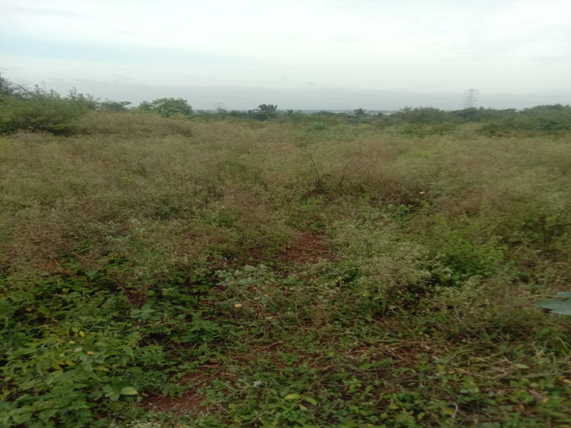  Agricultural Land 2 Acre for Sale in Berigai, Krishnagiri