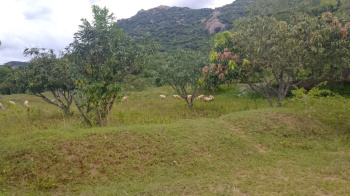  Agricultural Land for Sale in Palakkodu, Dharmapuri