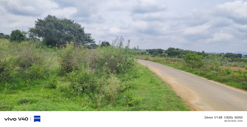  7 Acre Agricultural/Farm Land for Sale in Uthangarai, Krishnagiri