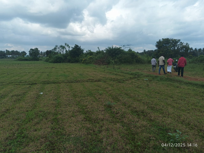  4 Acre Agricultural/Farm Land for Sale in Madakasira, Anantapur