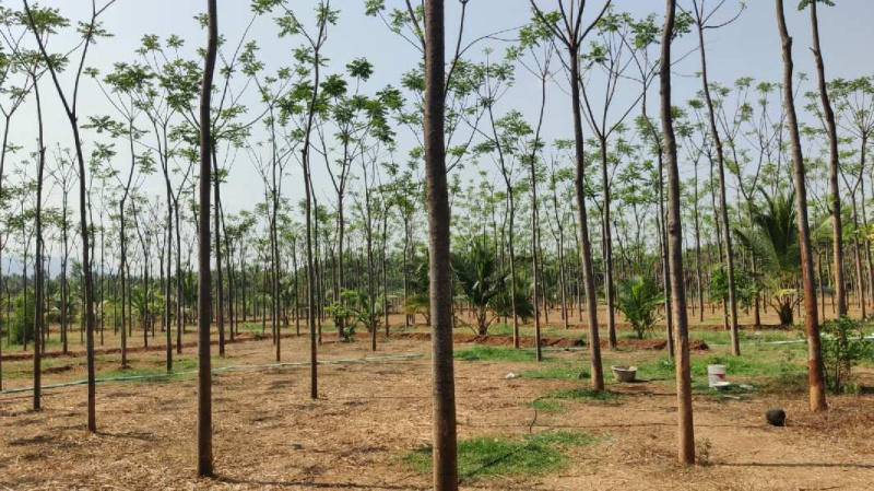  4 Acre Agricultural/Farm Land for Sale in Palakkodu, Dharmapuri