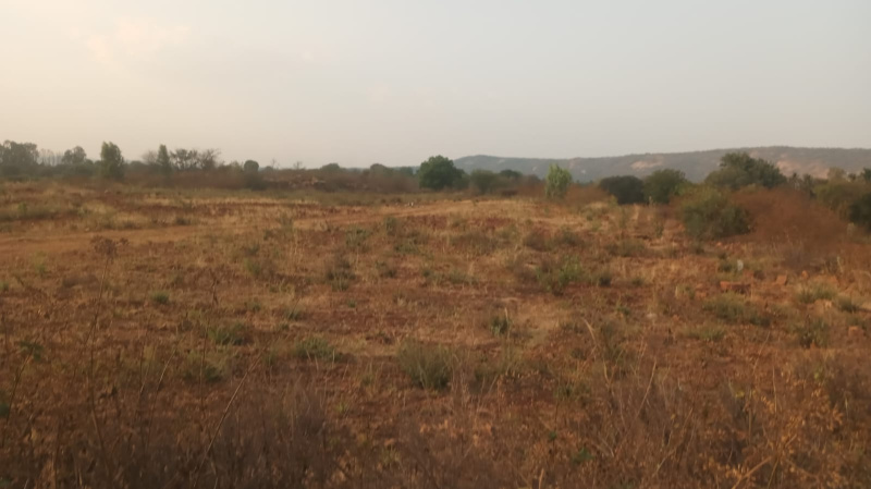  6 Acre Agricultural/Farm Land for Sale in Veppanapalli, Krishnagiri