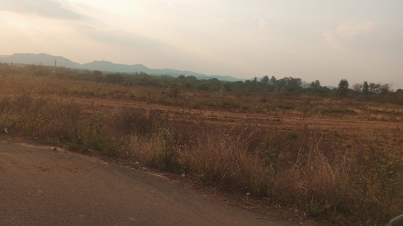  6 Acre Agricultural/Farm Land for Sale in Veppanapalli, Krishnagiri