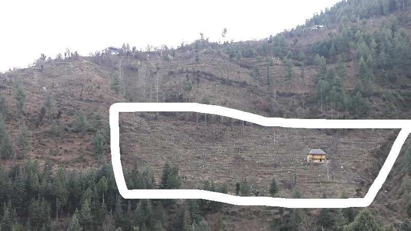 Agricultural Land 12 Bigha for Sale in Aut, Mandi