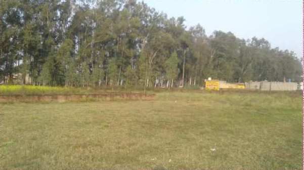  Commercial Land 91 Marla for Sale in Bhogpur, Jalandhar