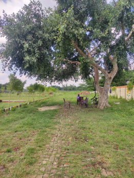  Residential Plot for Sale in New Jail Road, Lucknow