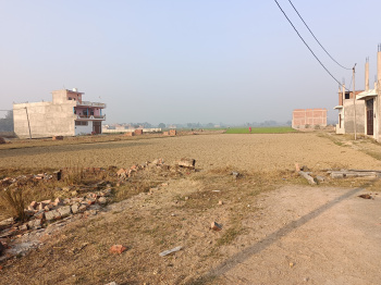  Residential Plot for Sale in Raebareli Road, Raibareli Road, Lucknow