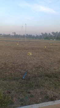  Residential Plot for Sale in Chikka Mandya