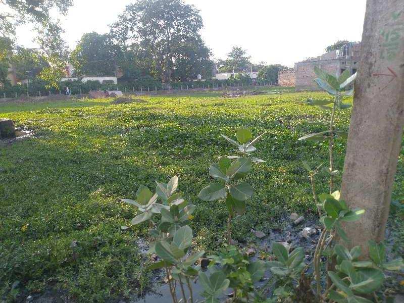  Agricultural Land 3240 Sq. Meter for Sale in Kelabari, Sahibganj