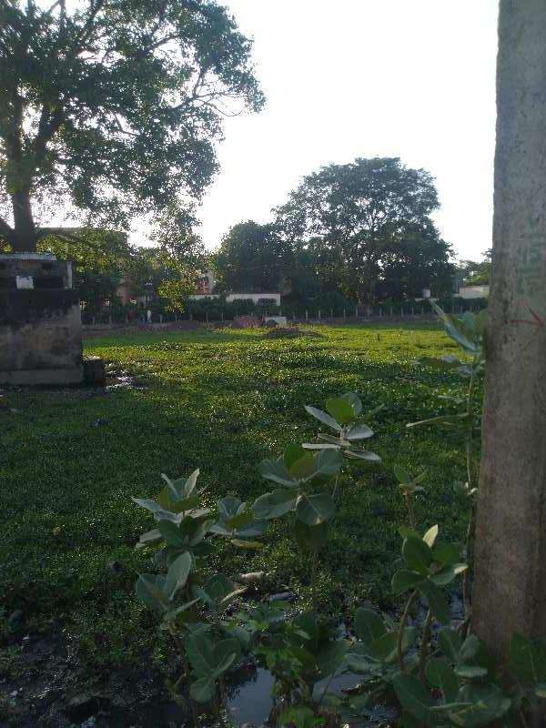  Agricultural Land 3240 Sq. Meter for Sale in Kelabari, Sahibganj