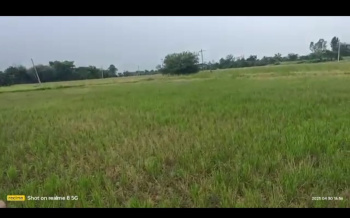  Agricultural Land for Sale in Munpalle, Medak