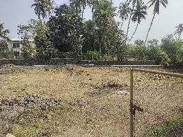  Agricultural Land for Sale in Nagaon, Alibag, Raigad