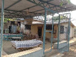 1 BHK Farm House for Sale in Mandwa, Alibag, Raigad