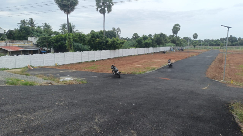  Residential Plot 800 Sq.ft. for Sale in Sivapuram, Pudukkottai