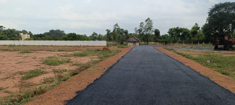  Residential Plot 655 Sq.ft. for Sale in Nanjikottai, Thanjavur