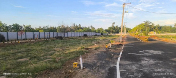  Residential Plot for Sale in Thalakudi, Tiruchirappalli