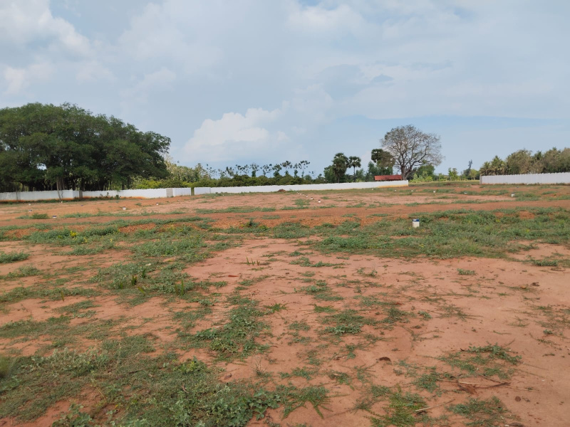  1350 Sq.ft. Residential Plot for Sale in Nanjikottai, Thanjavur