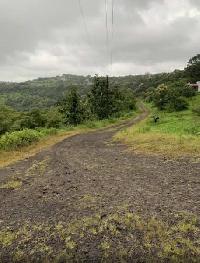  Agricultural Land for Sale in Bhukum, Pune