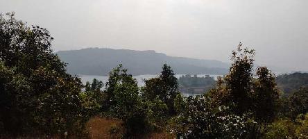  Agricultural Land for Sale in Bhor, Pune