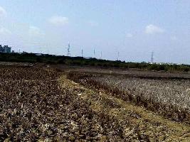  Agricultural Land for Sale in Forest Colony, Panvel, Navi Mumbai