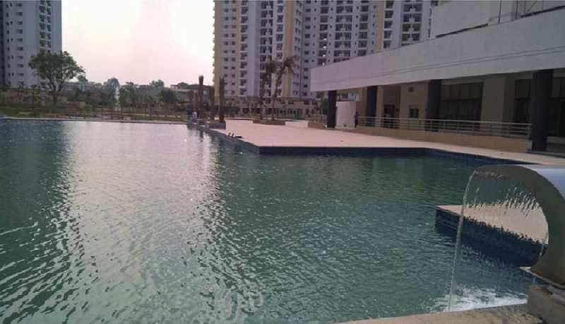 1 BHK Apartment 700 Sq.ft. for Rent in Budigere Cross, Bangalore