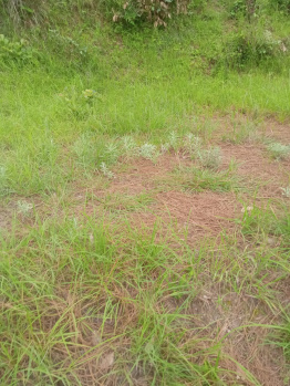  Agricultural Land for Sale in Bhogpur, Haridwar