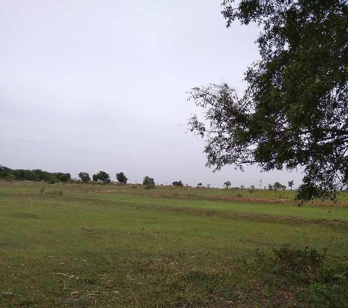 Commercial Land 4 Acre for Sale in Thiruttani, Chennai