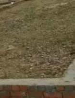 Residential Plot for Sale in Udham Singh Nagar, Kashipur