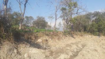  Residential Plot for Sale in Shahpur, Kangra