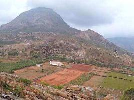  Residential Plot for Sale in Nandi Hills, Bangalore