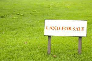  Residential Plot for Sale in Sector 43 Gurgaon