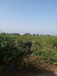  Agricultural Land for Sale in Kalia Colony, Jalandhar