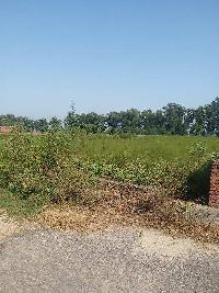  Residential Plot for Sale in Greenfield Colony, Jalandhar