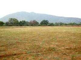  Residential Plot for Sale in South City, Ludhiana