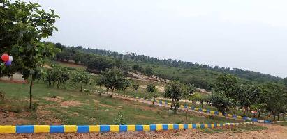  Residential Plot for Sale in Anekal, Bangalore