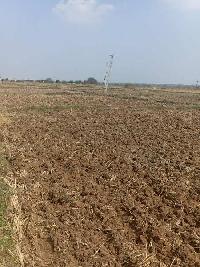  Agricultural Land for Sale in Mahabubnagar, Hyderabad