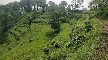  Agricultural Land for Sale in Nahan, Sirmour