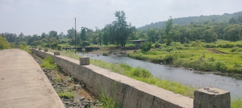  Agricultural Land 5 Ares for Sale in Murbad, Thane