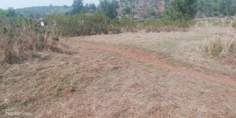  Agricultural Land 5 Ares for Sale in Murbad, Thane