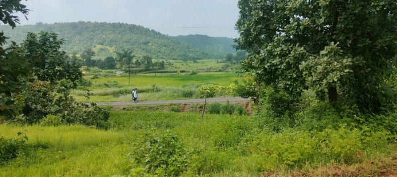  Agricultural Land 5 Ares for Sale in Murbad, Thane