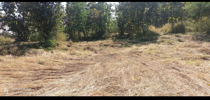 Agricultural Land 63000 Sq.ft. for Sale in
