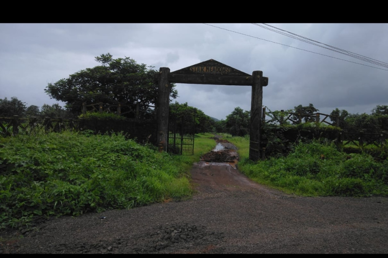  Residential Plot 1938 Sq.ft. for Sale in Murbad, Thane