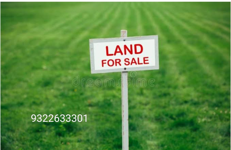 Agricultural Land 13 Acre for Sale in Adampur, Jalandhar