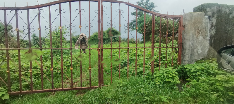 Agricultural Land 50 Guntha for Sale in Murbad, Thane