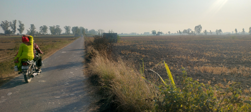  Agricultural Land 7 Acre for Sale in Adampur, Jalandhar