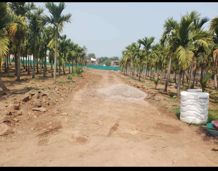  Residential Plot 5445 Sq.ft. for Sale in Alibag, Raigad