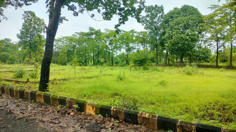  Commercial Land 16603 Sq.ft. for Sale in Murbad, Thane
