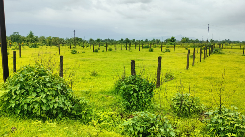  Residential Plot 106 Guntha for Sale in Murbad, Thane